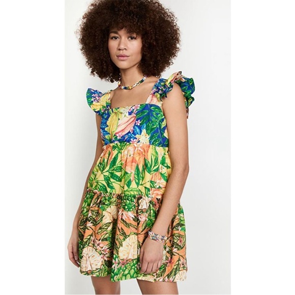 FARM Rio Dresses & Skirts - Farm Rio Caipirinha Tiered Cotton Mini Dress Size Large